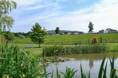 a pond with a field and a red phone booth at 2 Bed in Llandinam oc-waa377 in Llandinam