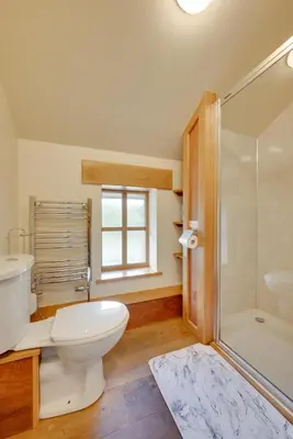 a bathroom with a white toilet and a shower at 3 Bed in Dolgellau oc-wah570 in Llanfachreth