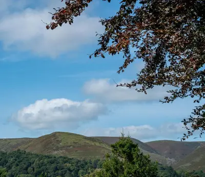 a view of hills and trees in the distance at Berries Coach House in Church Stretton