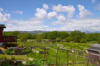 a garden with many plants in a field at 4 Bed in Dolgellau oc-wah568 in Llanfachreth