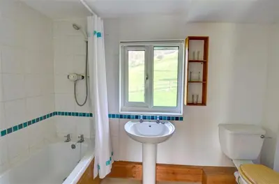 a bathroom with a sink and a toilet and a window at 4 Bed in Presteigne oc-wak235 in Norton