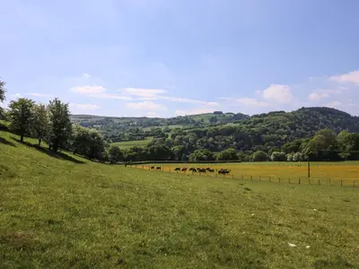 a group of horses walking in a field at Pen Y Maes in Builth Wells