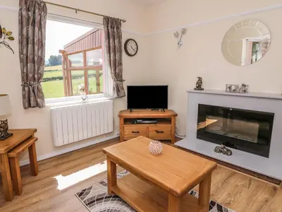 a living room with a tv and a fireplace at Tegfan in Rhayader