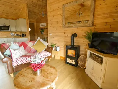 a living room with a couch and a wood stove at The Firs in Llanidloes
