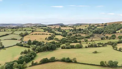 an aerial view of a green field with trees at Glanyrafon Bungalow in Rhayader