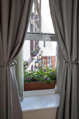 a window with a pot of flowers on a window sill at The Royal Oak Pub in Lampeter