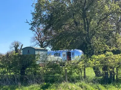 a blue trailer sitting under a tree in a field at Ludlow Vintage Airstream in Ludlow