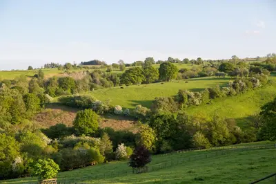 an overhead view of a field with trees and grass at GoldenValley Shepherd's Hut in Dorstone