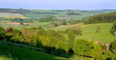a view of a green field with trees at GoldenValley Shepherd's Hut in Dorstone