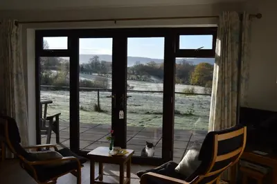 a cat sitting in a chair looking out of a window at Smithfield Farm Bed & Breakfast in Builth Wells