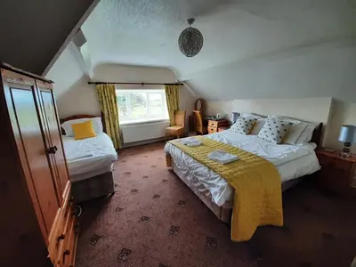 a hotel room with two beds and a window at Cadwgan House in Dyffryn