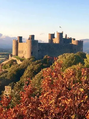 a castle on top of a hill with trees at Cadwgan House in Dyffryn