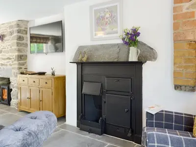 a living room with a black fireplace with a stone at Bryn Salem in Mallwyd