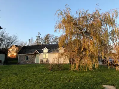 a house with a tree in front of a yard at Lletty Ann wynn at Fraithwen Cottages in Newtown