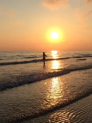 a person walking on the beach at sunset at Swyn y Mor beach close Pet friendly hot tub in Barmouth