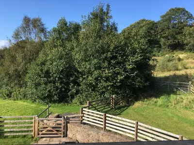 a wooden fence in front of a large tree at Ty Glo Cottage in Brecon