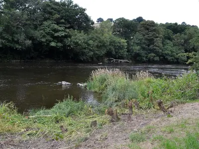 a river with some grass and trees and some water at Edw Lodge in Aberedw