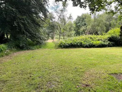 a field of grass with trees and bushes at The Granary Country Retreat in Lampeter