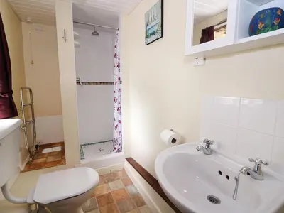 a bathroom with a toilet and a sink at Beech Cottage in Llanidloes