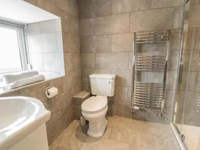 a bathroom with a toilet and a sink and a shower at Rhianwen, Plas Moelfre Hall Barns in Llangadwaladr