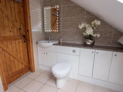 a bathroom with a toilet and a sink at Cefn Uchaf Cottage in Llanbedr