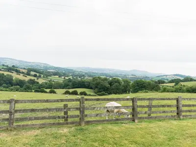 a couple of animals standing behind a fence at Waggoners Cottage in Montgomery