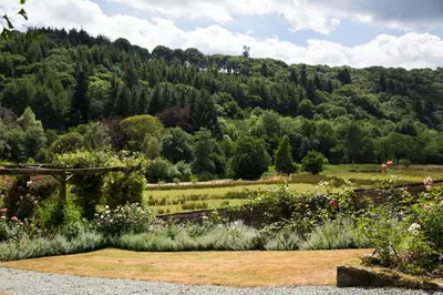 a garden with a view of a mountain at The Old House, Llwyn Madoc in Llanwrtyd Wells