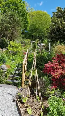 a garden with a wooden bridge and flowers at Yr Hen Farcdy in Talsarnau