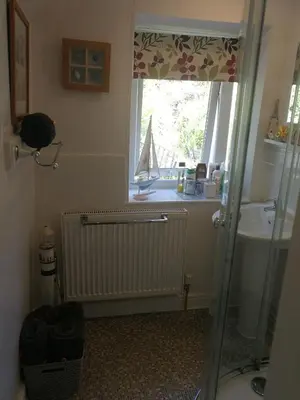 a bathroom with a shower and a sink and a window at Yr Hen Farcdy in Talsarnau