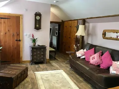a living room with a leather couch and pink pillows at Brecon Boutique Breaks River Run in Sennybridge