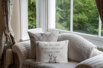 a pillow sitting on a chair next to a window at Afon Rhaiadr Country House in Dolgellau