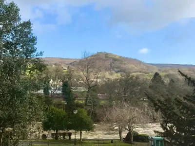 a view of a mountain from a park with trees at Minafon in Llangollen