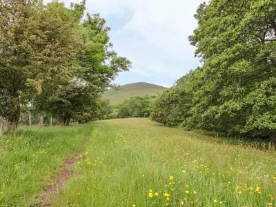 a field of grass with trees and a dirt road at Dingle Den in Hereford