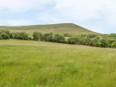 a field of grass with a hill in the background at Dingle Den in Hereford