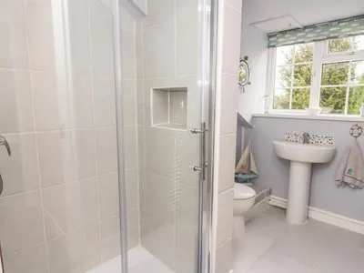 a bathroom with a shower and a toilet and a sink at Fisher Granary in Lampeter