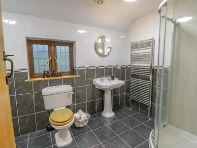 a bathroom with a toilet and a sink and a shower at Ty Berllan in Caersws