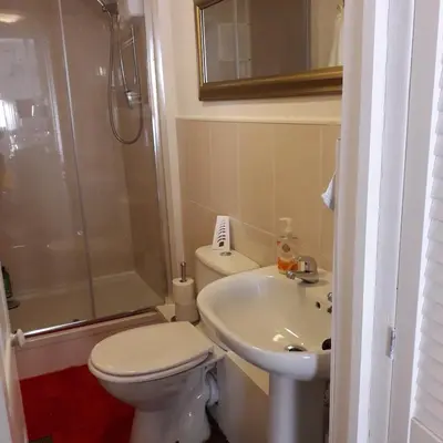 a bathroom with a toilet and a sink and a shower at Lucea Cottage in Craven Arms