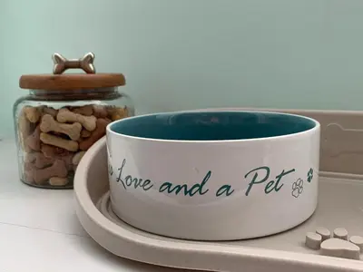 a cup of love and a pet and a jar of peanuts at Evangelisa in Lampeter