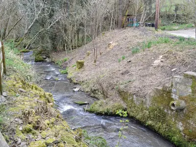 a stream of water next to a hill with trees at Bridge End Cottage in Cregrina