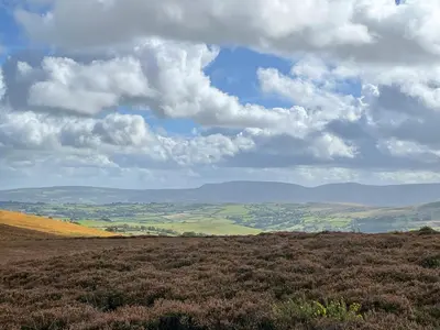 a view of a field from the top of a hill at Bridge End Cottage in Cregrina