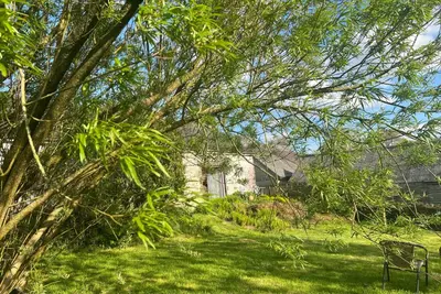 a bench sitting in the grass under a tree at The Rose Barn, Ysgubor y Rhosyn in Llandysul