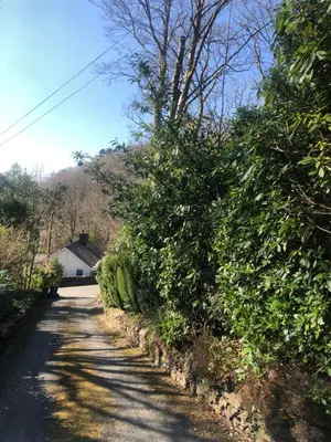 a road with bushes on the side of a house at Snowdonia Mawddach escape in Dolgellau