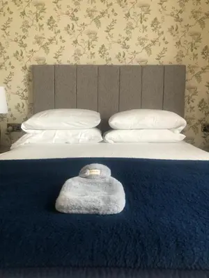 a bed with a blue blanket with a stuffed animal on it at Helmsman Guesthouse in Aberystwyth