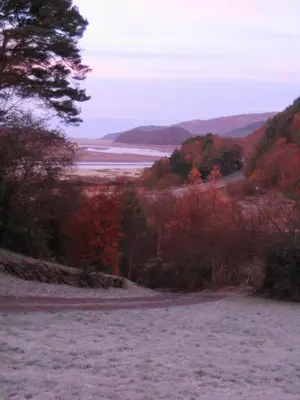 a view of a field with trees and a lake at Showman's Wagon at Coed Cae in Dolgellau