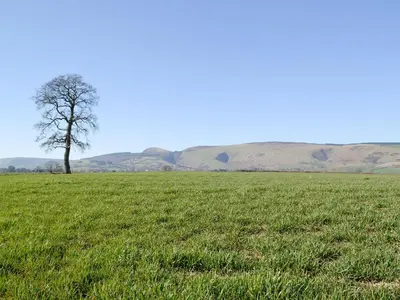a lone tree in a field with mountains in the background at Upper Close - Uk10873 in Evenjobb