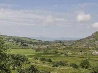 a green field with trees and mountains in the background at The Stable Cottage in Llanbedr