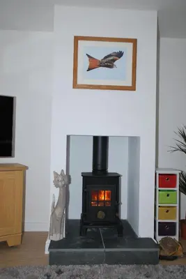 a stove in a living room with a cat and a picture at The Coach House Annexe in Llangollen