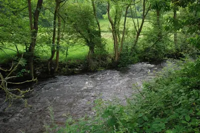 a stream in the middle of a forest with trees at The Coach House Annexe in Llangollen