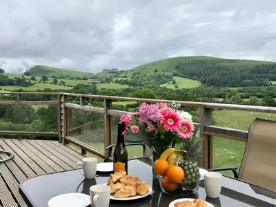 a table with a bottle of wine and fruits and flowers at Offa's Dyke Lodge - Uk10835 in Old Radnor