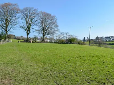 a field of green grass with trees in the background at Hen Llaeth - Uk11209 in Cwrt-newydd